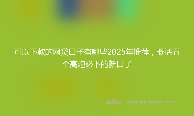 可以下款的网贷口子有哪些2025年推荐，概括五个高炮必下的新口子