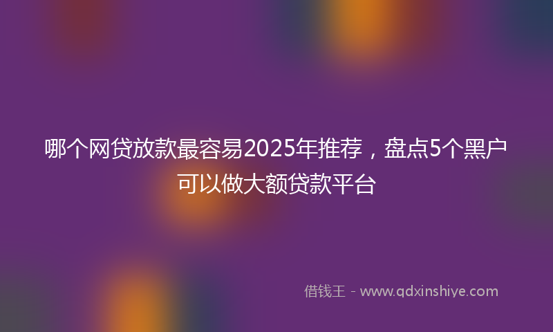 哪个网贷放款最容易2025年推荐，盘点5个黑户可以做大额贷款平台