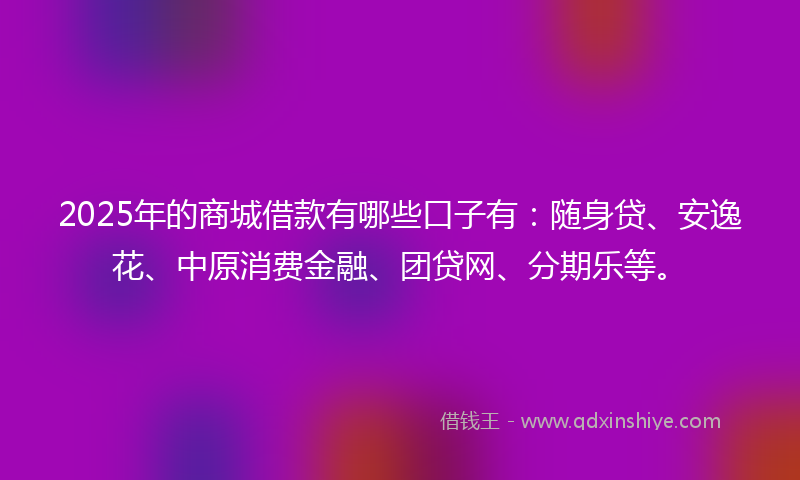 2025年的商城借款有哪些口子有：随身贷、安逸花、中原消费金融、团贷网、分期乐等。