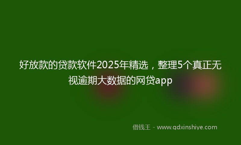 好放款的贷款软件2025年精选，整理5个真正无视逾期大数据的网贷app