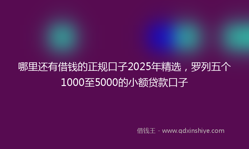 哪里还有借钱的正规口子2025年精选，罗列五个1000至5000的小额贷款口子