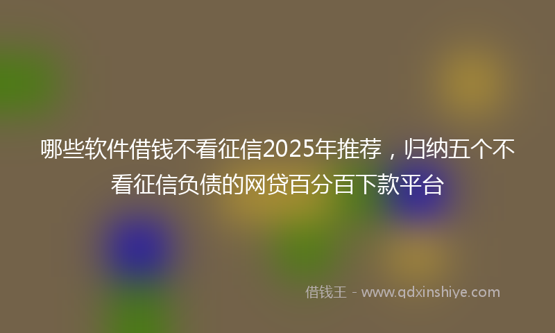 哪些软件借钱不看征信2025年推荐，归纳五个不看征信负债的网贷百分百下款平台