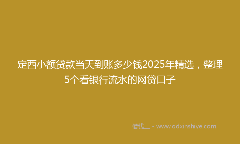 定西小额贷款当天到账多少钱2025年精选，整理5个看银行流水的网贷口子