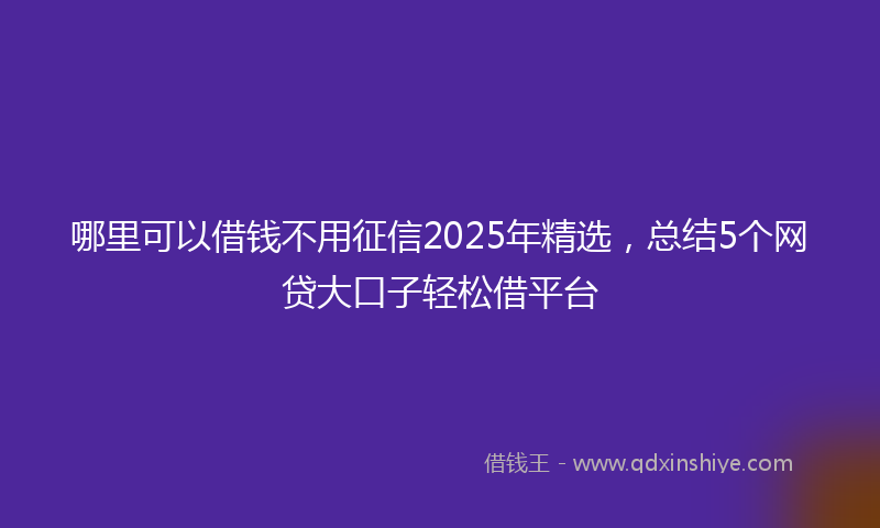 哪里可以借钱不用征信2025年精选，总结5个网贷大口子轻松借平台