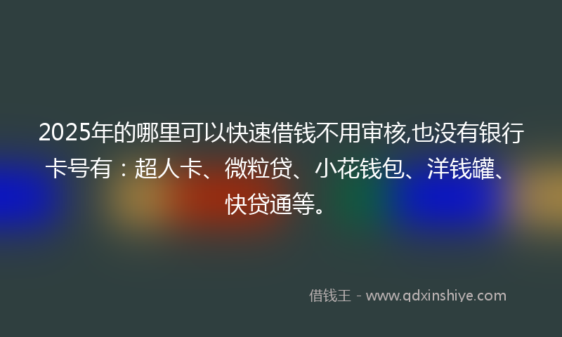 2025年的哪里可以快速借钱不用审核,也没有银行卡号有：超人卡、微粒贷、小花钱包、洋钱罐、快贷通等。