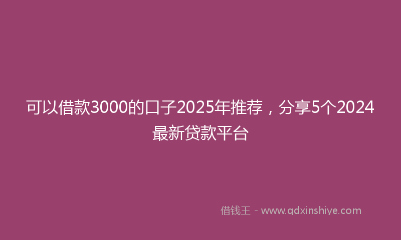 可以借款3000的口子2025年推荐，分享5个2024最新贷款平台