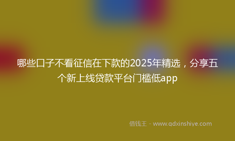 哪些口子不看征信在下款的2025年精选，分享五个新上线贷款平台门槛低app