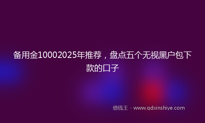 备用金10002025年推荐，盘点五个无视黑户包下款的口子