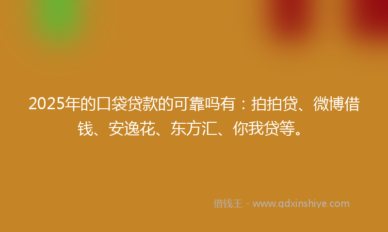 2025年的口袋贷款的可靠吗有：拍拍贷、微博借钱、安逸花、东方汇、你我贷等。