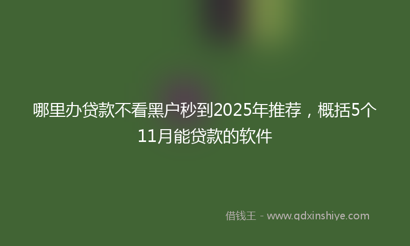 哪里办贷款不看黑户秒到2025年推荐，概括5个11月能贷款的软件