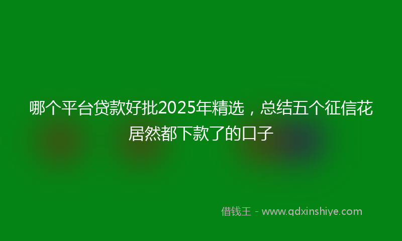 哪个平台贷款好批2025年精选，总结五个征信花居然都下款了的口子