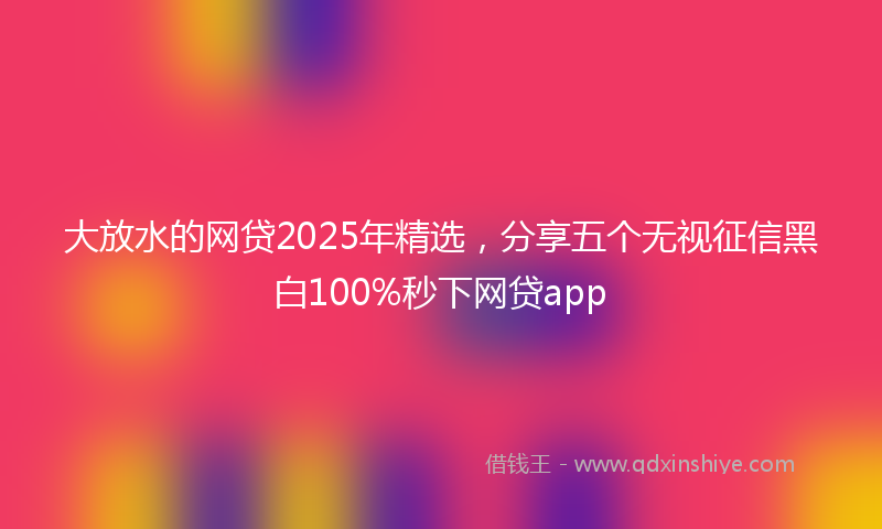 大放水的网贷2025年精选，分享五个无视征信黑白100%秒下网贷app