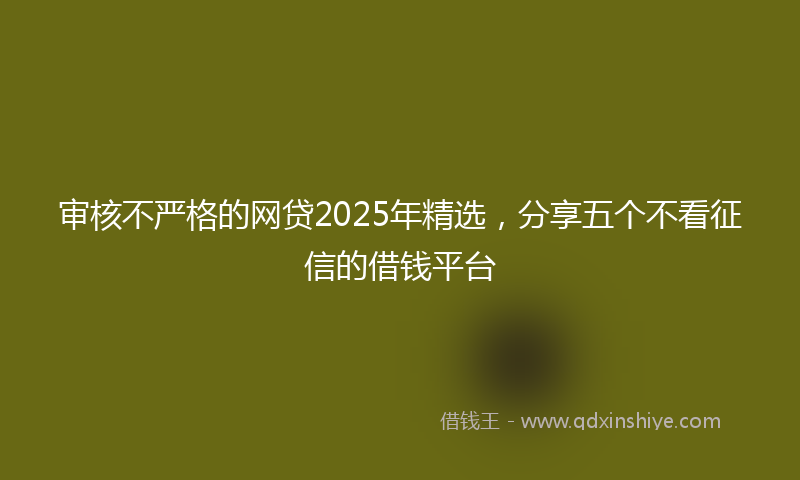 审核不严格的网贷2025年精选，分享五个不看征信的借钱平台