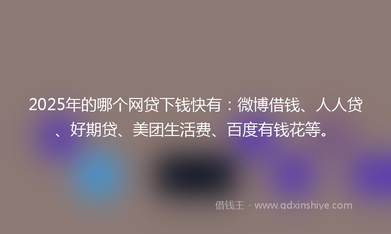 2025年的哪个网贷下钱快有：微博借钱、人人贷、好期贷、美团生活费、百度有钱花等。