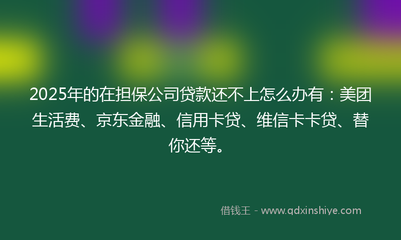 2025年的在担保公司贷款还不上怎么办有：美团生活费、京东金融、信用卡贷、维信卡卡贷、替你还等。