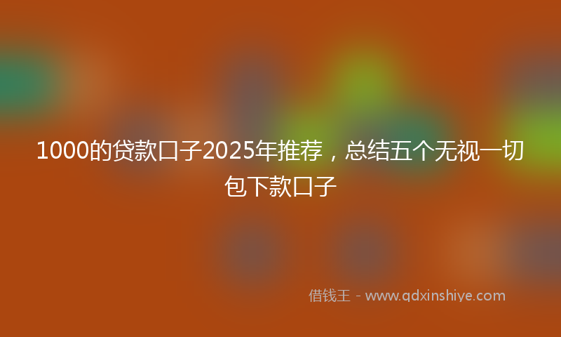 1000的贷款口子2025年推荐，总结五个无视一切包下款口子