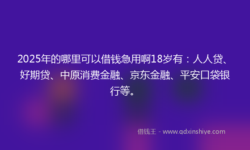 2025年的哪里可以借钱急用啊18岁有：人人贷、好期贷、中原消费金融、京东金融、平安口袋银行等。