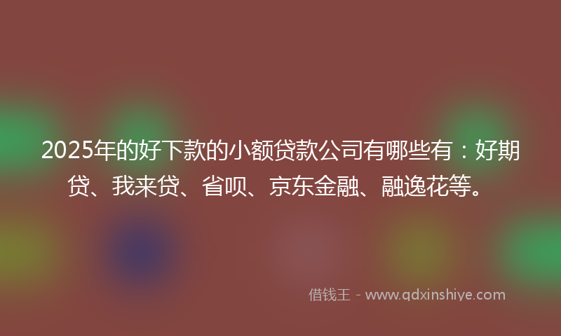 2025年的好下款的小额贷款公司有哪些有：好期贷、我来贷、省呗、京东金融、融逸花等。