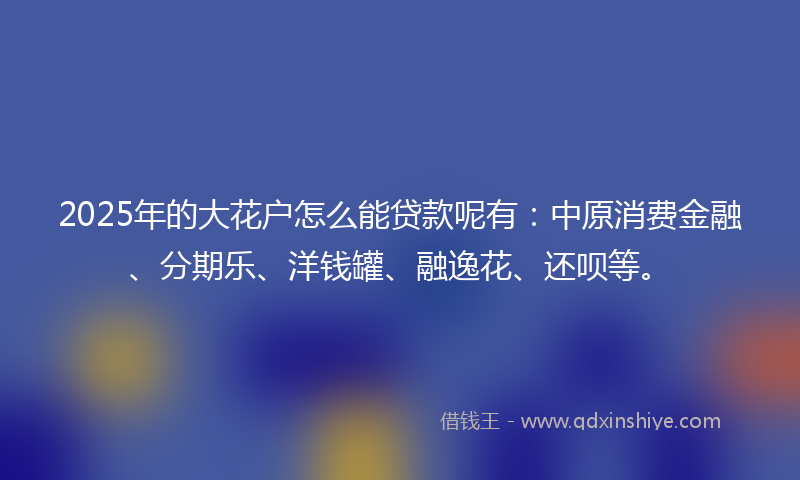 2025年的大花户怎么能贷款呢有：中原消费金融、分期乐、洋钱罐、融逸花、还呗等。