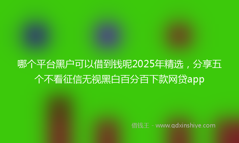 哪个平台黑户可以借到钱呢2025年精选，分享五个不看征信无视黑白百分百下款网贷app