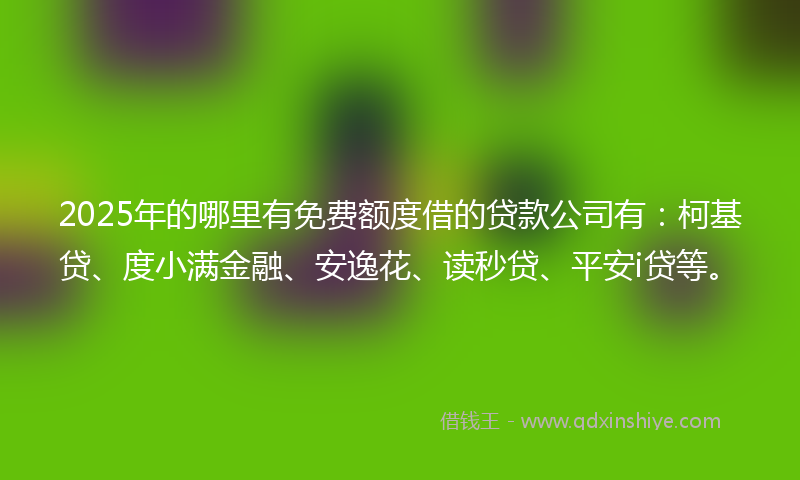 2025年的哪里有免费额度借的贷款公司有：柯基贷、度小满金融、安逸花、读秒贷、平安i贷等。