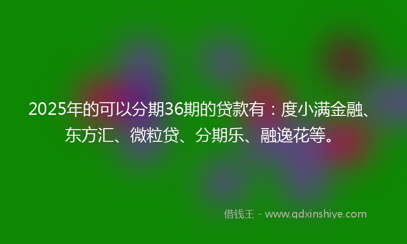 2025年的可以分期36期的贷款有：度小满金融、东方汇、微粒贷、分期乐、融逸花等。