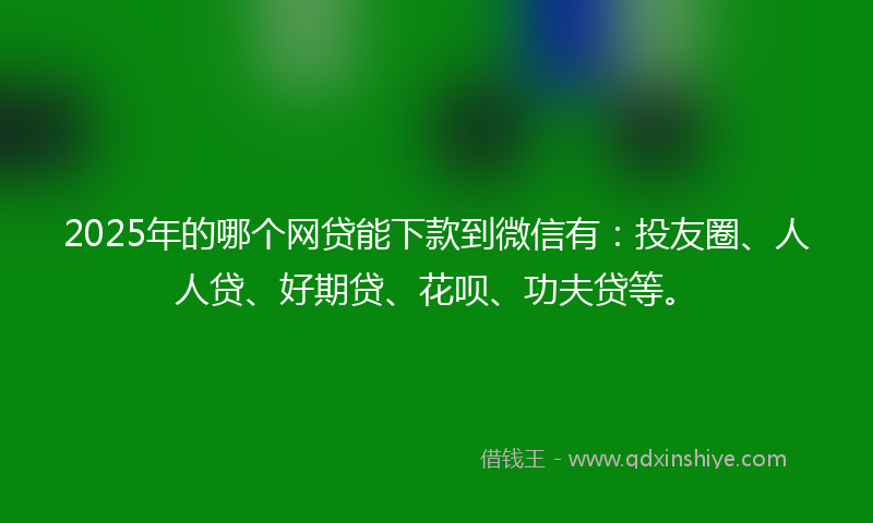2025年的哪个网贷能下款到微信有：投友圈、人人贷、好期贷、花呗、功夫贷等。
