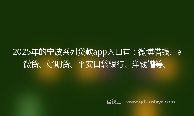 2025年的宁波系列贷款app入口有：微博借钱、e微贷、好期贷、平安口袋银行、洋钱罐等。
