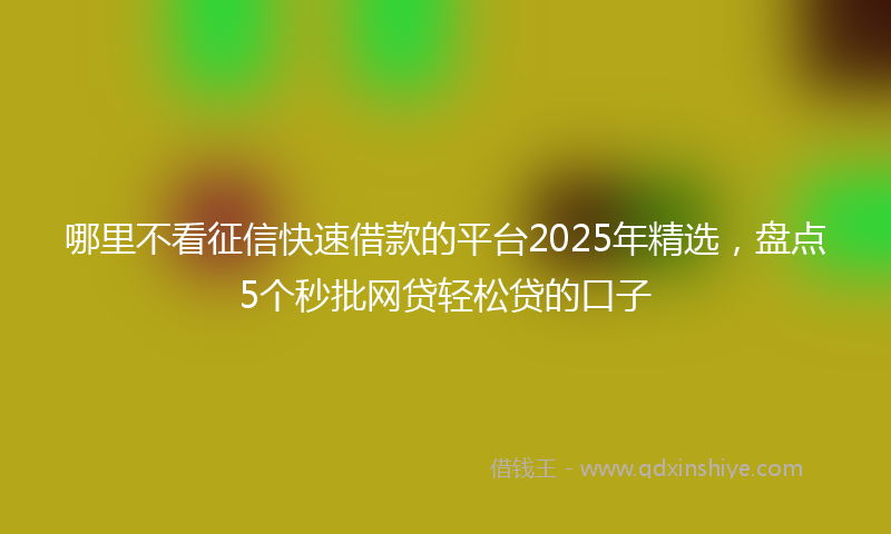 哪里不看征信快速借款的平台2025年精选，盘点5个秒批网贷轻松贷的口子