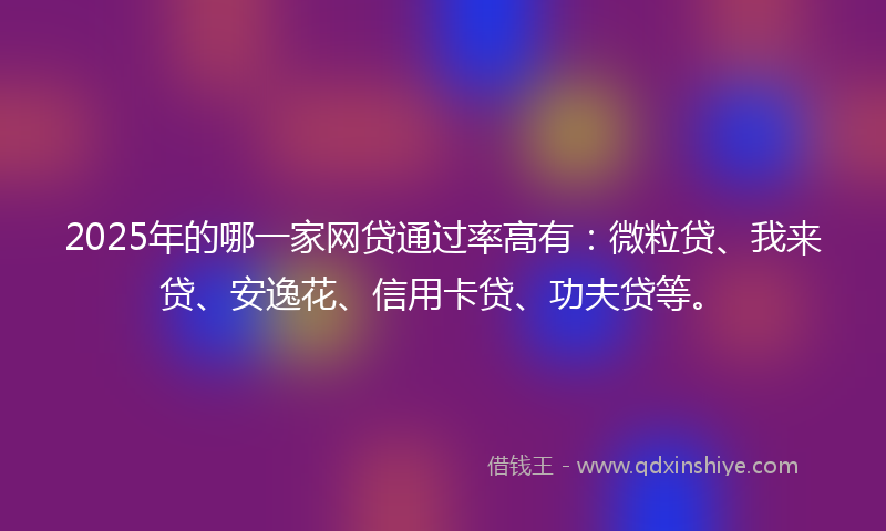 2025年的哪一家网贷通过率高有：微粒贷、我来贷、安逸花、信用卡贷、功夫贷等。