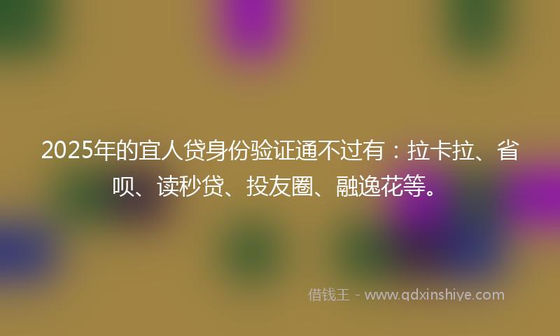 2025年的宜人贷身份验证通不过有：拉卡拉、省呗、读秒贷、投友圈、融逸花等。