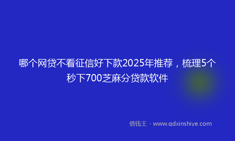 哪个网贷不看征信好下款2025年推荐，梳理5个秒下700芝麻分贷款软件