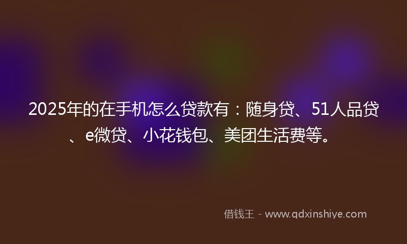 2025年的在手机怎么贷款有：随身贷、51人品贷、e微贷、小花钱包、美团生活费等。