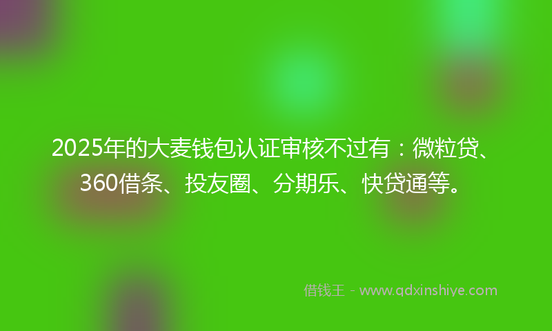 2025年的大麦钱包认证审核不过有：微粒贷、360借条、投友圈、分期乐、快贷通等。