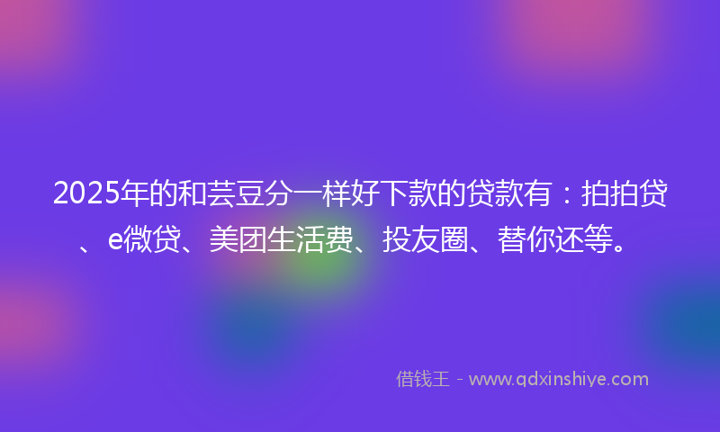 2025年的和芸豆分一样好下款的贷款有：拍拍贷、e微贷、美团生活费、投友圈、替你还等。