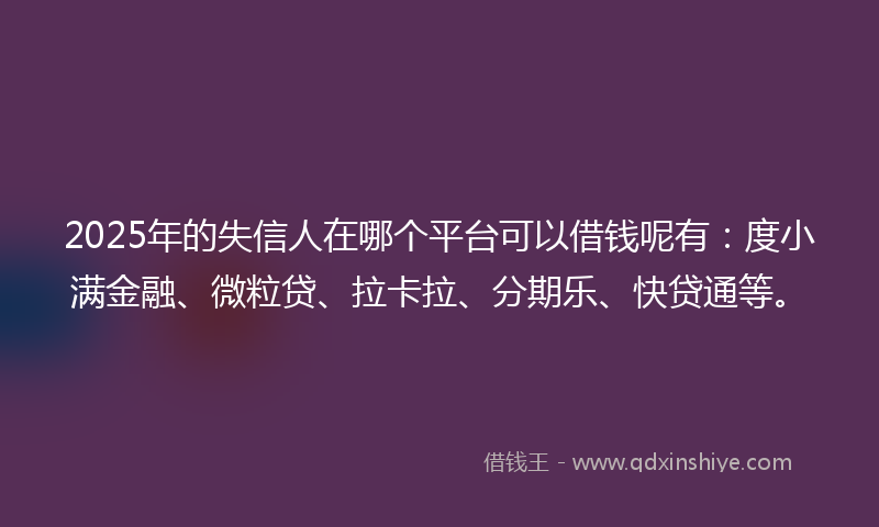 2025年的失信人在哪个平台可以借钱呢有：度小满金融、微粒贷、拉卡拉、分期乐、快贷通等。