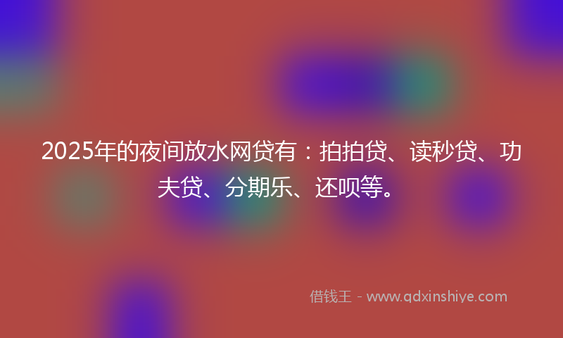 2025年的夜间放水网贷有：拍拍贷、读秒贷、功夫贷、分期乐、还呗等。