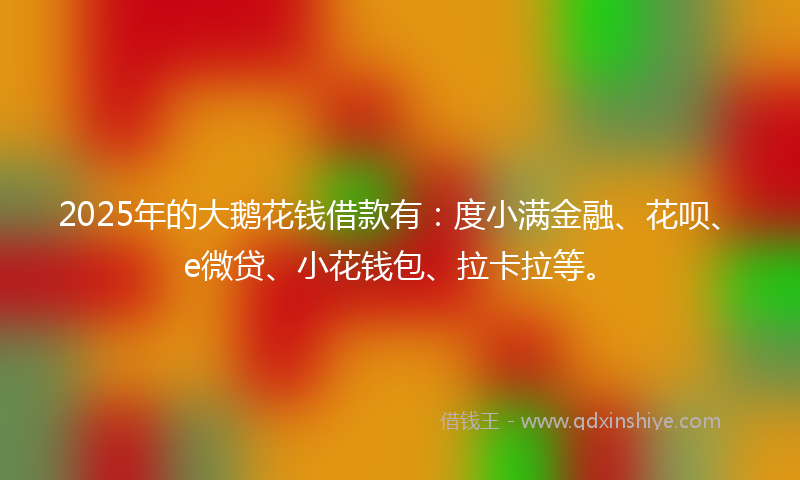 2025年的大鹅花钱借款有：度小满金融、花呗、e微贷、小花钱包、拉卡拉等。
