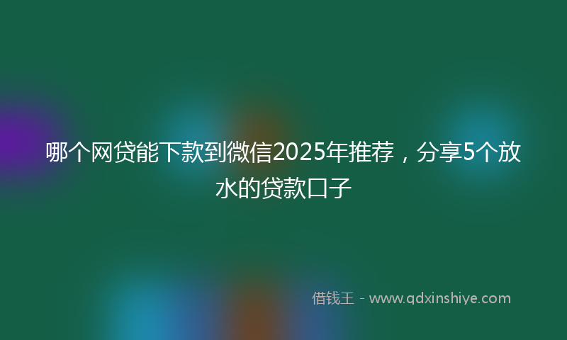 哪个网贷能下款到微信2025年推荐，分享5个放水的贷款口子
