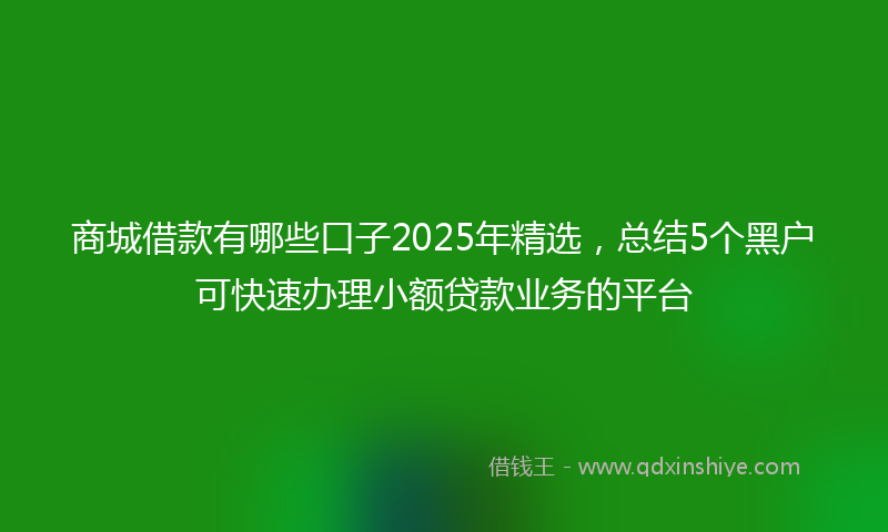 商城借款有哪些口子2025年精选，总结5个黑户可快速办理小额贷款业务的平台