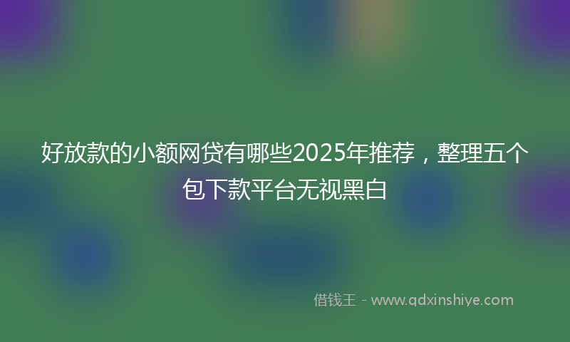 好放款的小额网贷有哪些2025年推荐，整理五个包下款平台无视黑白