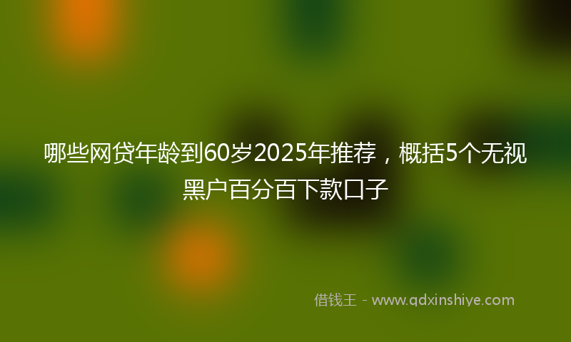 哪些网贷年龄到60岁2025年推荐，概括5个无视黑户百分百下款口子