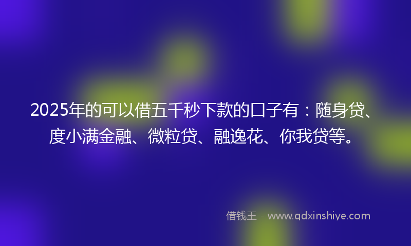 2025年的可以借五千秒下款的口子有：随身贷、度小满金融、微粒贷、融逸花、你我贷等。