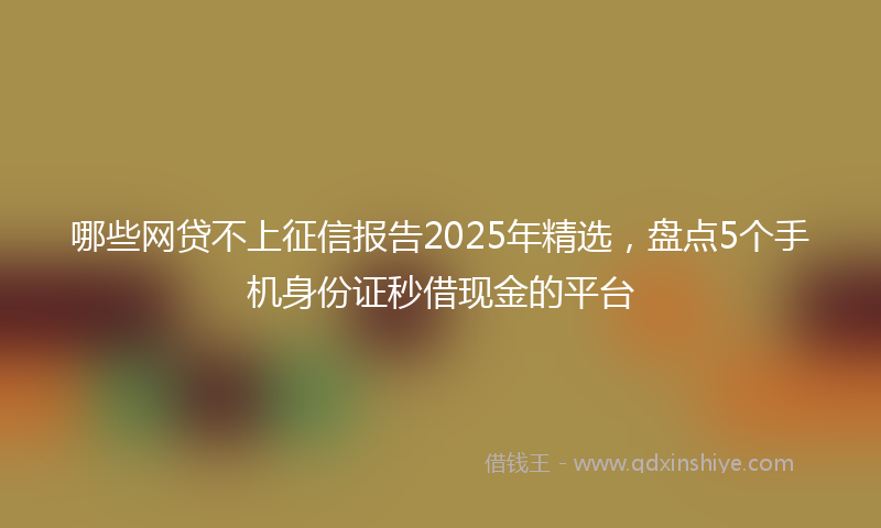 哪些网贷不上征信报告2025年精选，盘点5个手机身份证秒借现金的平台