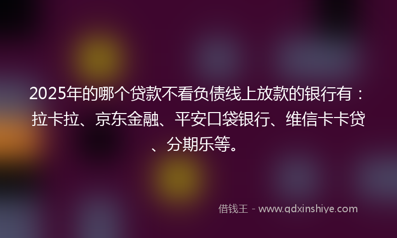 2025年的哪个贷款不看负债线上放款的银行有：拉卡拉、京东金融、平安口袋银行、维信卡卡贷、分期乐等。