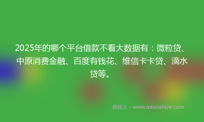 2025年的哪个平台借款不看大数据有：微粒贷、中原消费金融、百度有钱花、维信卡卡贷、滴水贷等。