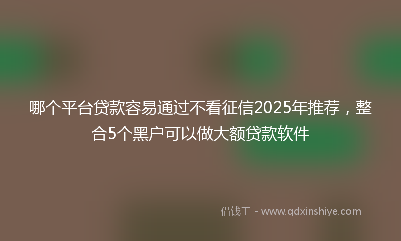 哪个平台贷款容易通过不看征信2025年推荐，整合5个黑户可以做大额贷款软件