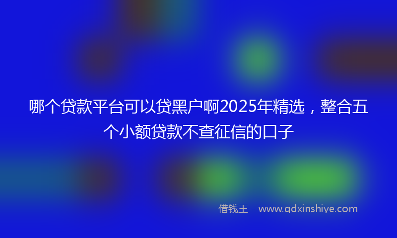 哪个贷款平台可以贷黑户啊2025年精选，整合五个小额贷款不查征信的口子