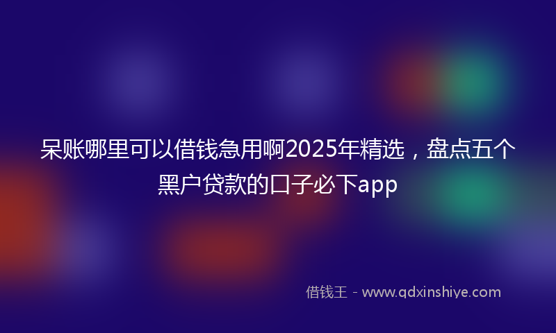 呆账哪里可以借钱急用啊2025年精选，盘点五个黑户贷款的口子必下app