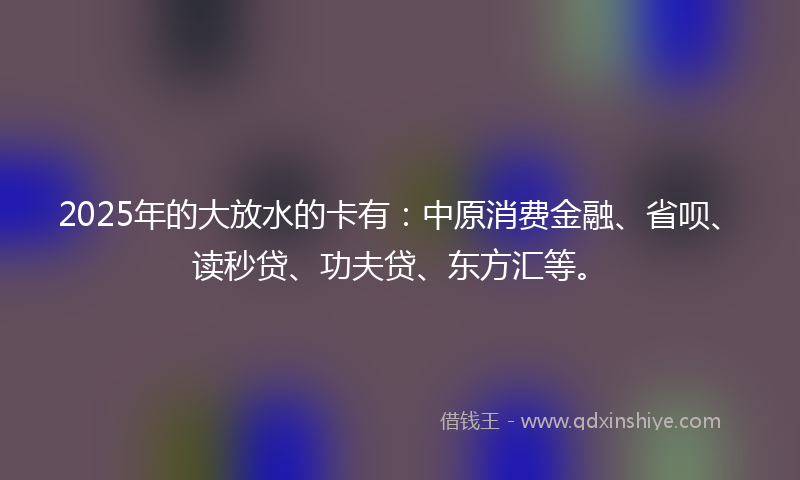 2025年的大放水的卡有：中原消费金融、省呗、读秒贷、功夫贷、东方汇等。